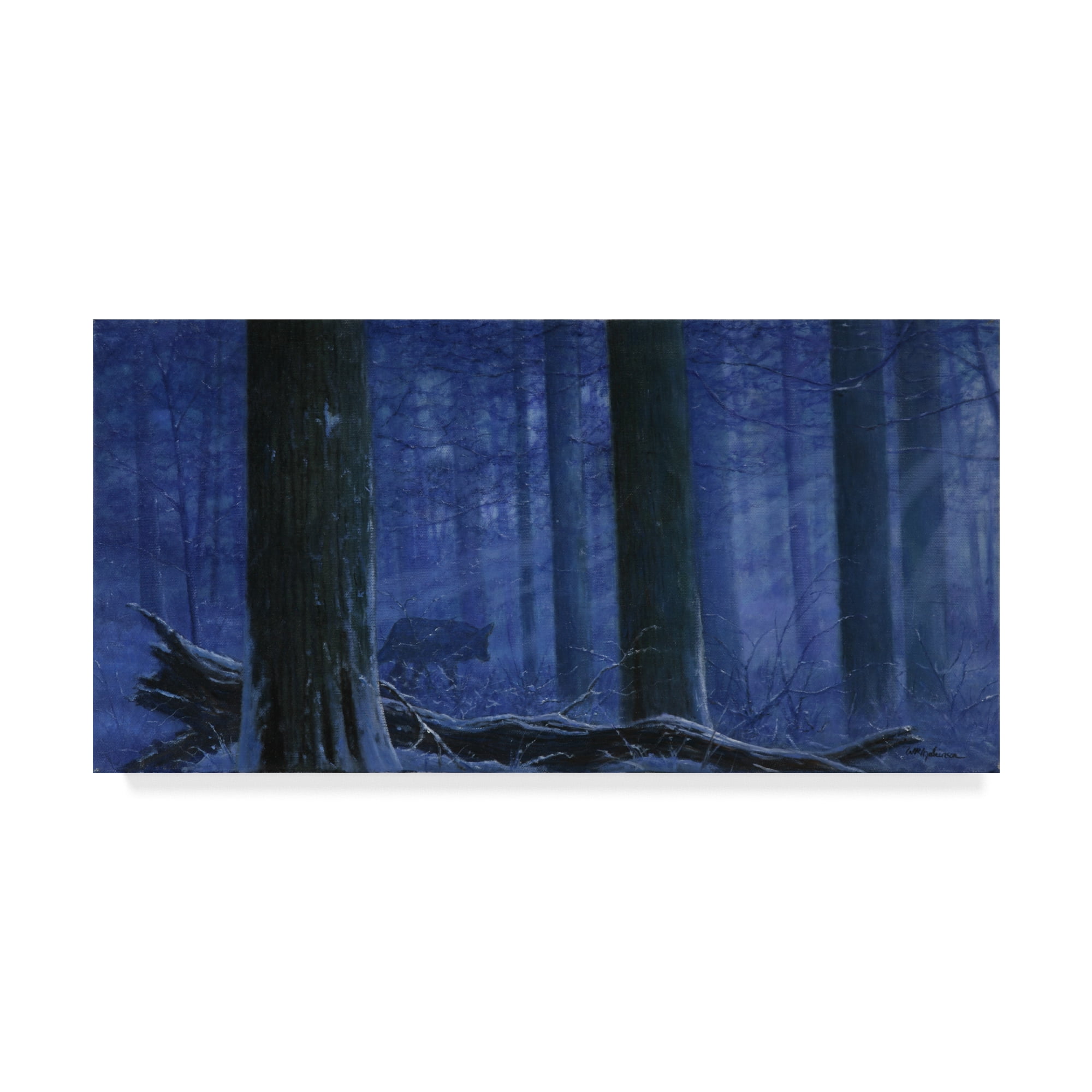 Trademark Fine Art 'Blue Wolf' Canvas Art by Bill Makinson