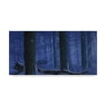 thumbnail image 1 of Trademark Fine Art 'Blue Wolf' Canvas Art by Bill Makinson, 1 of 3