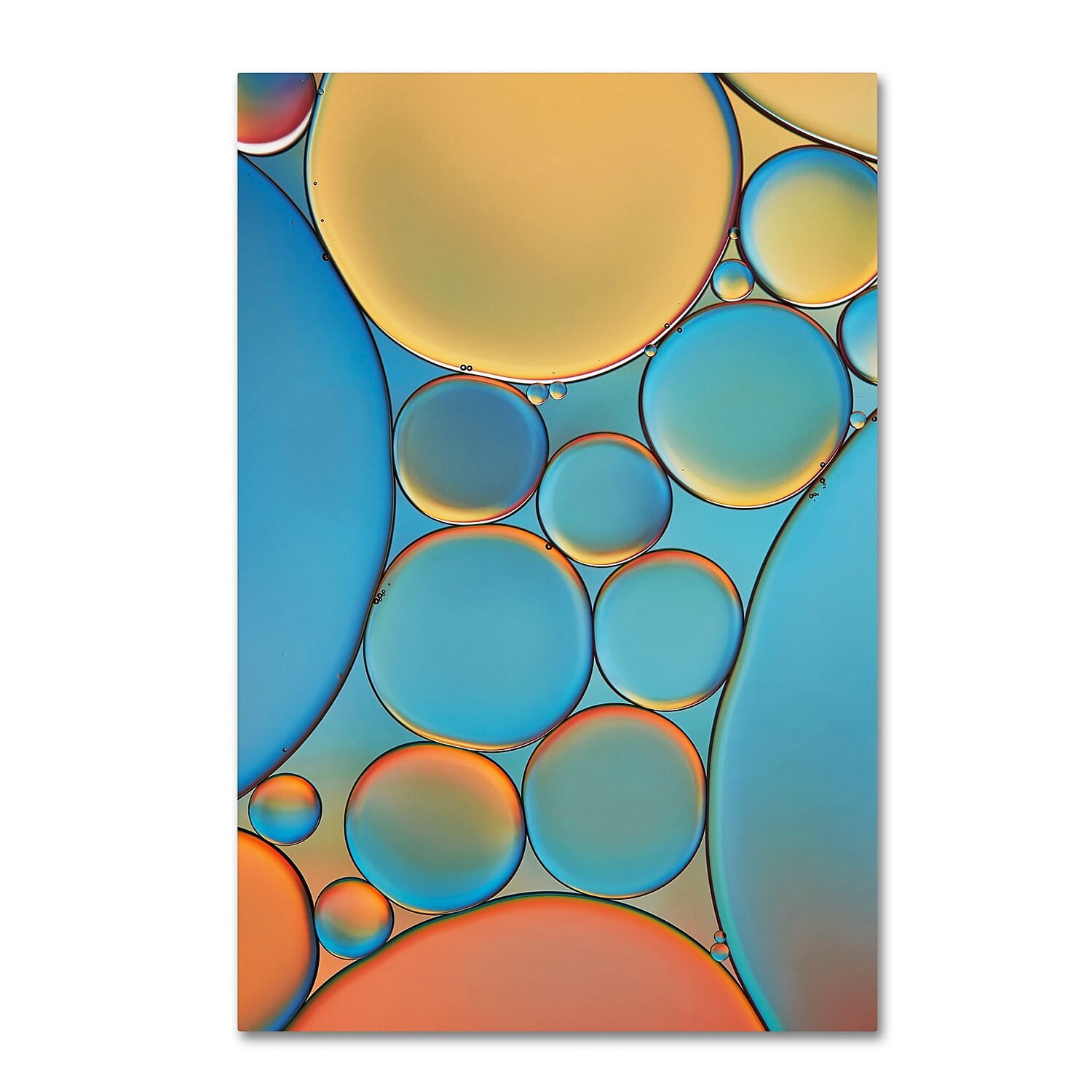 Trademark Fine Art 'Blue and Apricot Drops' Canvas Art by Cora Niele