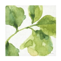 Trademark Fine Art 'Blue and Green Garden VII' Canvas Art by Lisa Audit