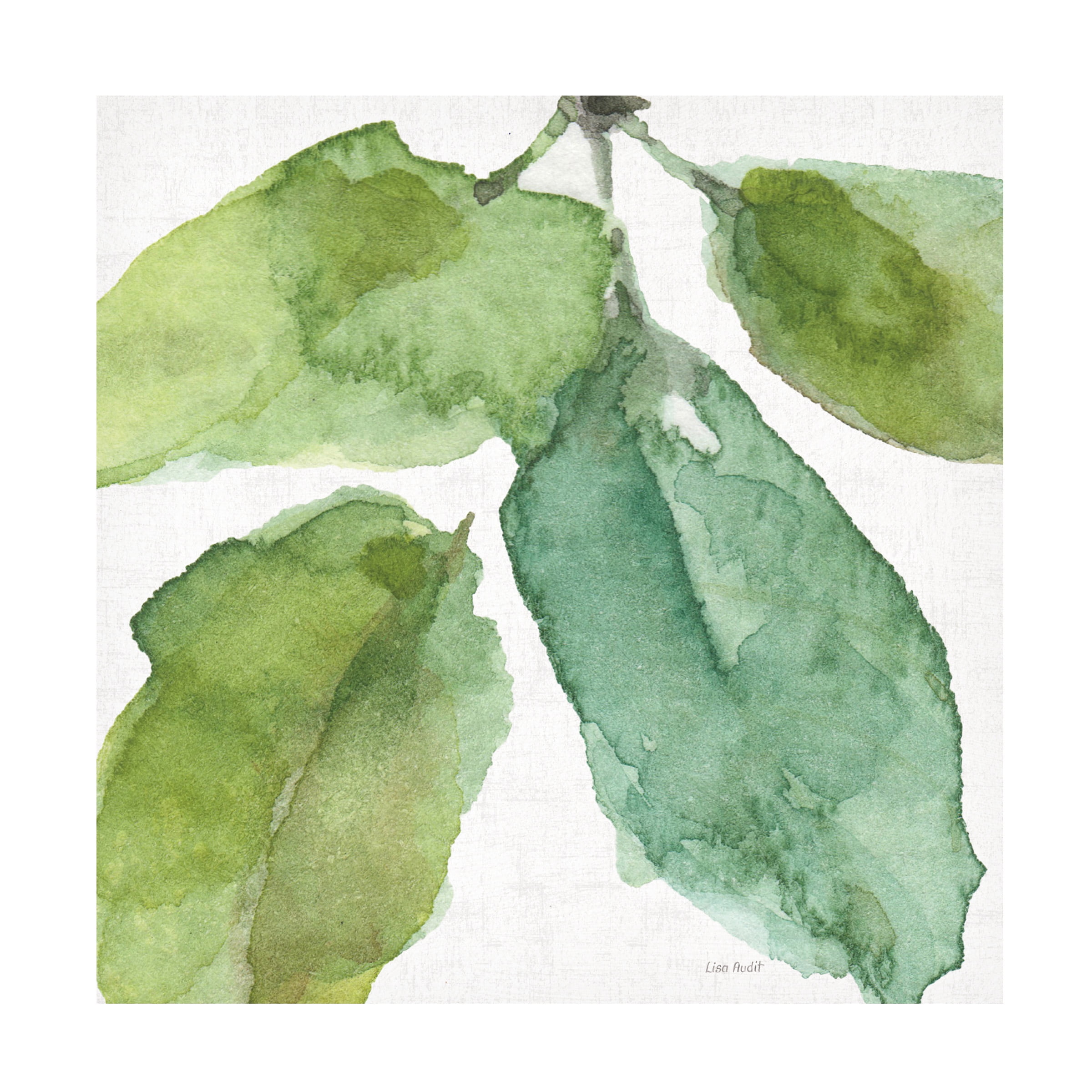 Trademark Fine Art 'Blue and Green Garden VIII' Canvas Art by Lisa Audit