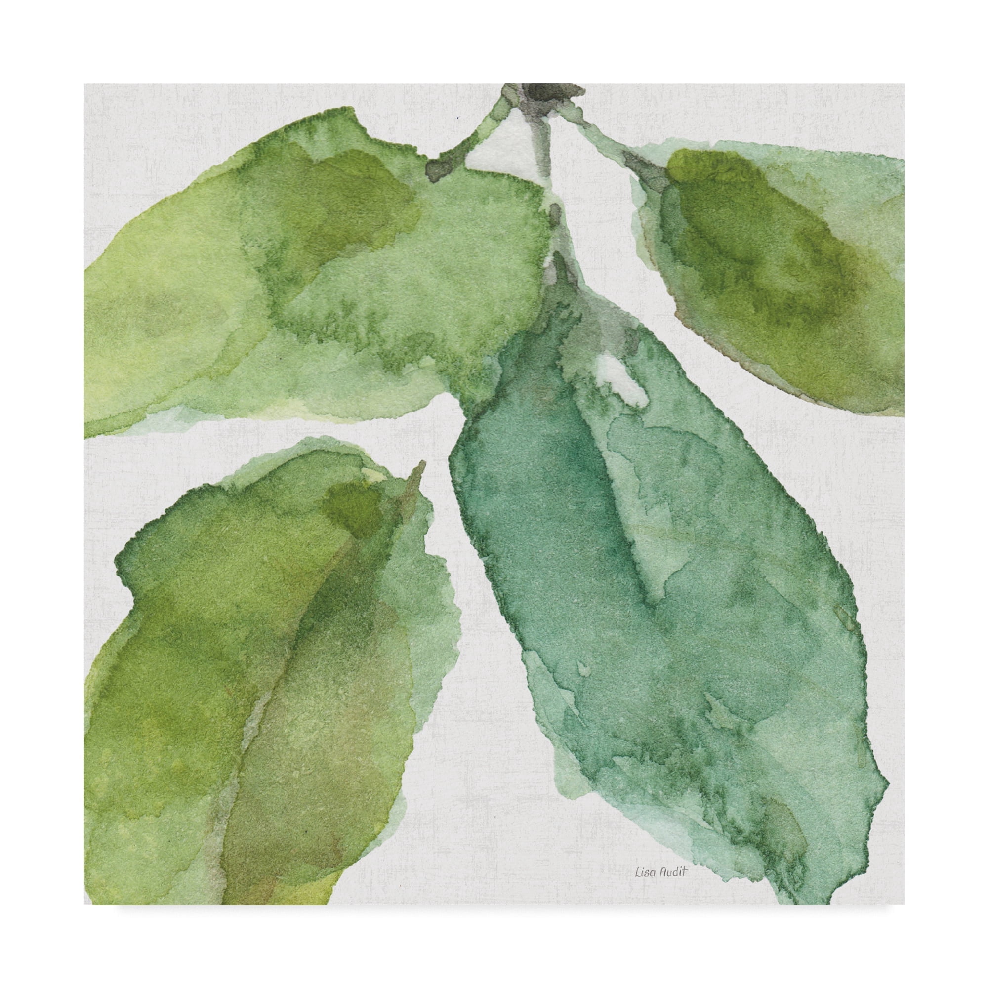 Trademark Fine Art 'Blue and Green Garden VIII' Canvas Art by Lisa Audit