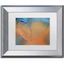 Trademark Fine Art 'Blue and Orange Flow' Canvas Art by Cora Niele, White Matte, Silver Frame