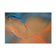 thumbnail image 1 of Trademark Fine Art 'Blue and Orange Flow' Canvas Art by Cora Niele, 1 of 4