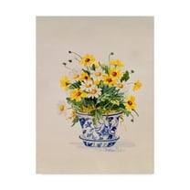 Trademark Fine Art ' Blue and White Porcelain Daisies' Canvas Art by Barbara Mock