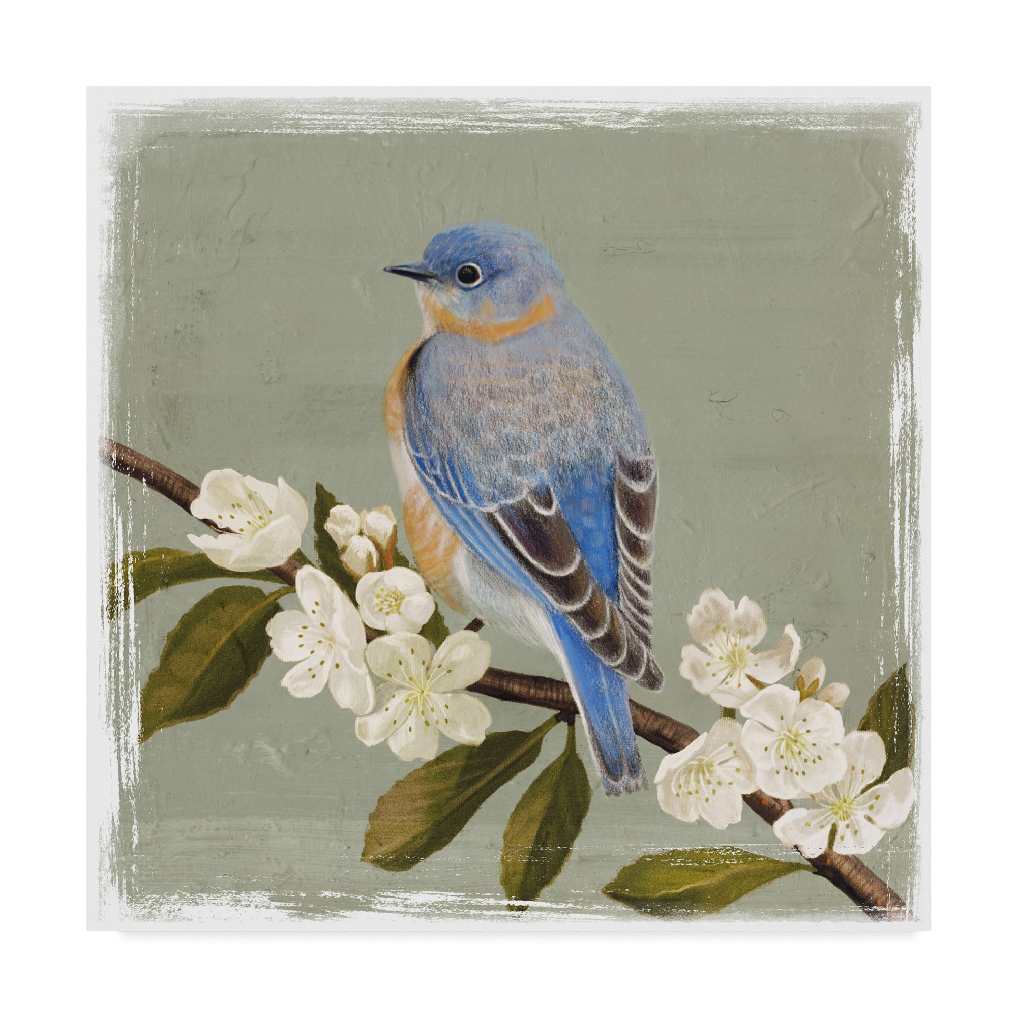 Trademark Fine Art 'Bluebird Branch II' Canvas Art by Victoria Borges