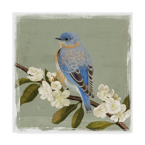 Trademark Fine Art 'Bluebird Branch II' Canvas Art by Victoria Borges