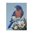 thumbnail image 1 of Trademark Fine Art 'Bluebird Watch' Canvas Art by Carol J Rupp, 1 of 3
