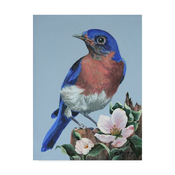 Trademark Fine Art 'Bluebird Watch' Canvas Art by Carol J Rupp