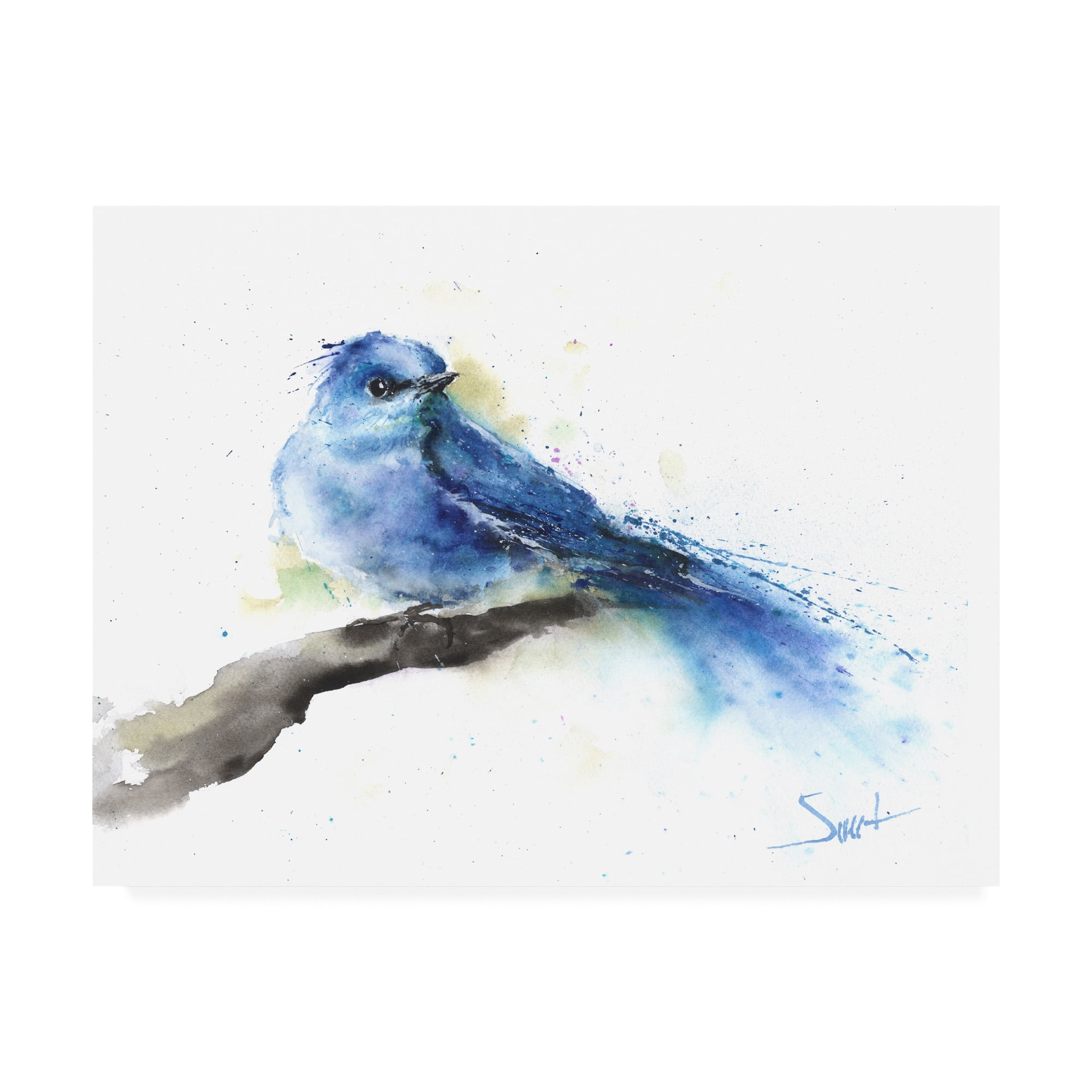 Trademark Fine Art 'Bluebird Watercolor' Canvas Art by Eric Swee