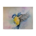 thumbnail image 1 of Trademark Fine Art 'Bluebird Yellow' Canvas Art by Angie Livingstone, 1 of 3
