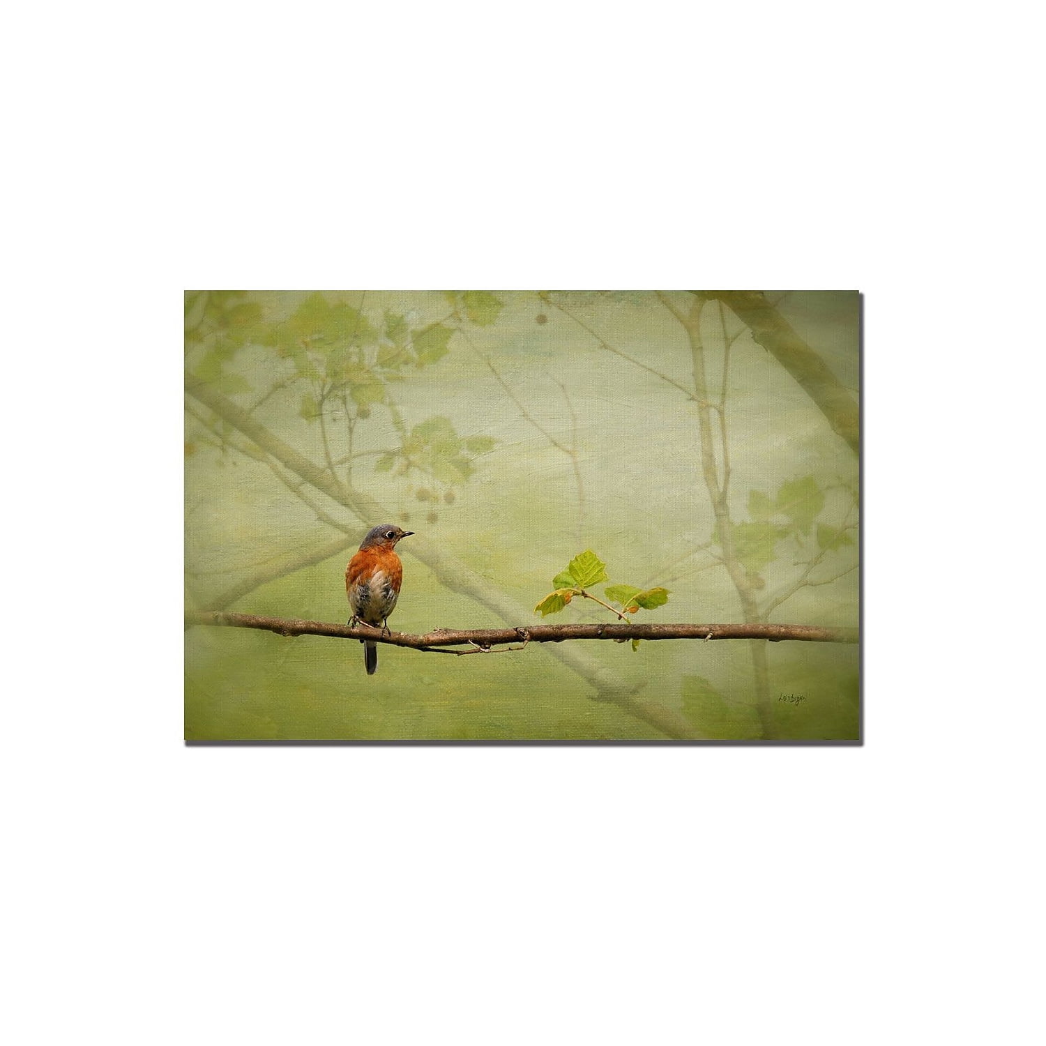 Trademark Fine Art "Bluebird in Spring" Canvas Art by Lois Bryan