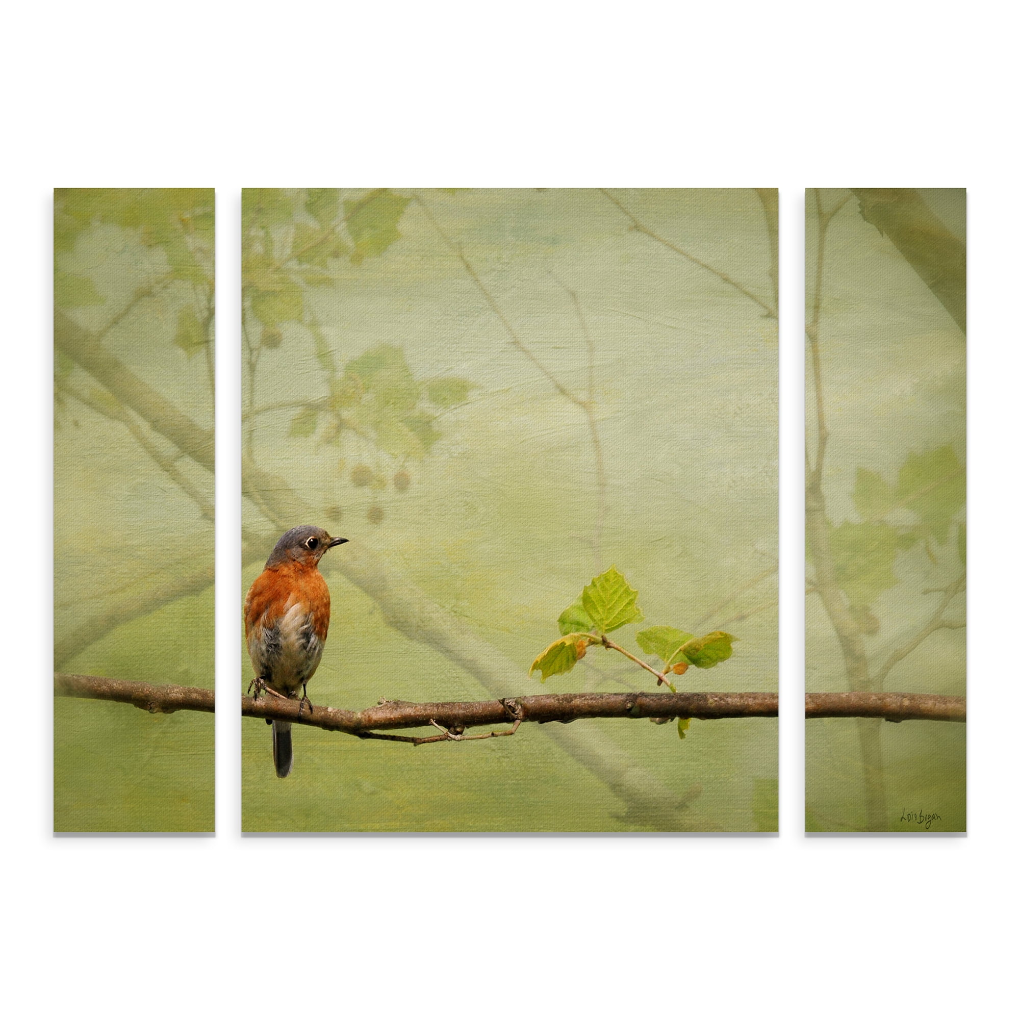 Trademark Fine Art 'Bluebird in Spring' Multi-Panel Canvas Art Set by Lois Bryan