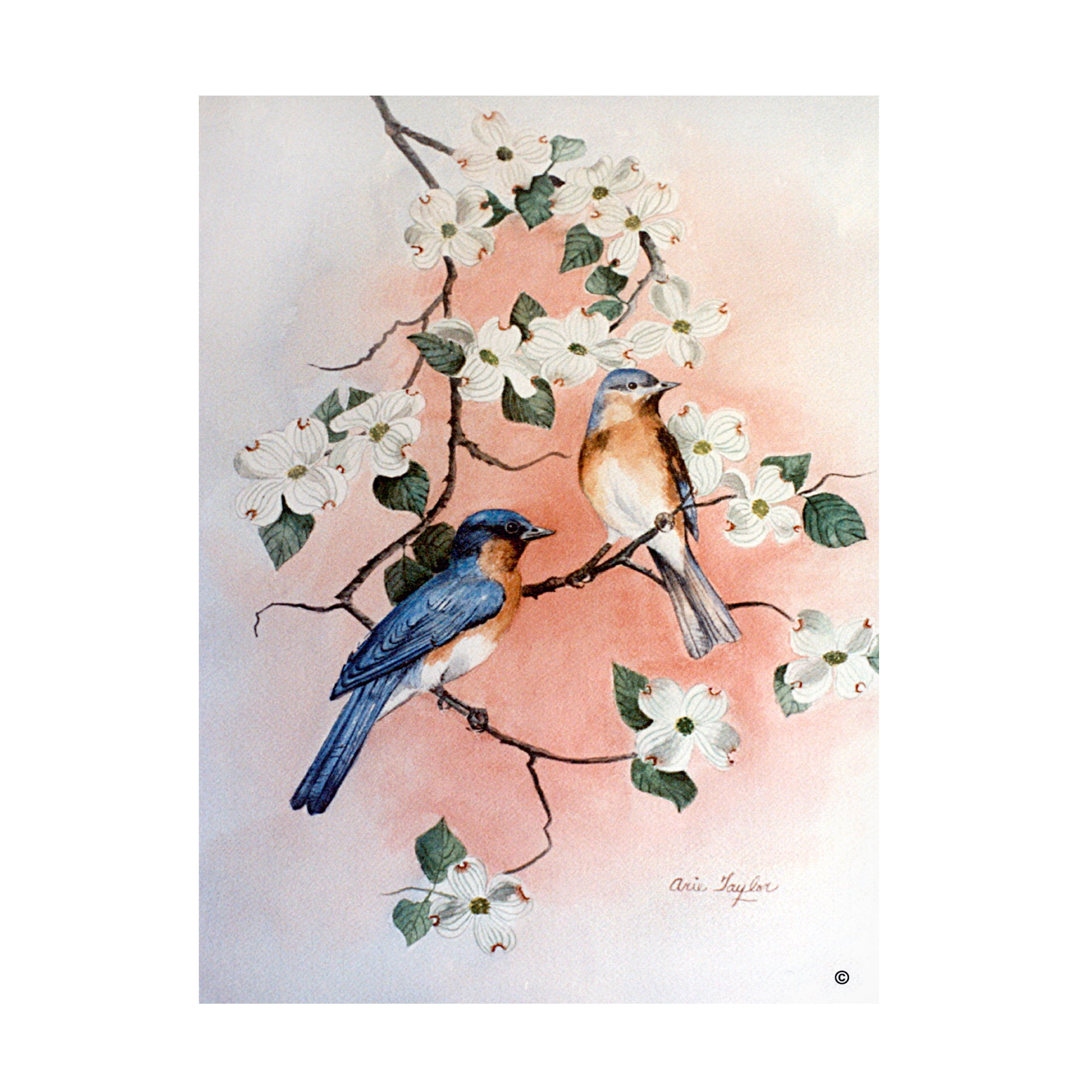 Trademark Fine Art 'Bluebirds and Dogwood' Canvas Art by Arie Reinhardt Taylor