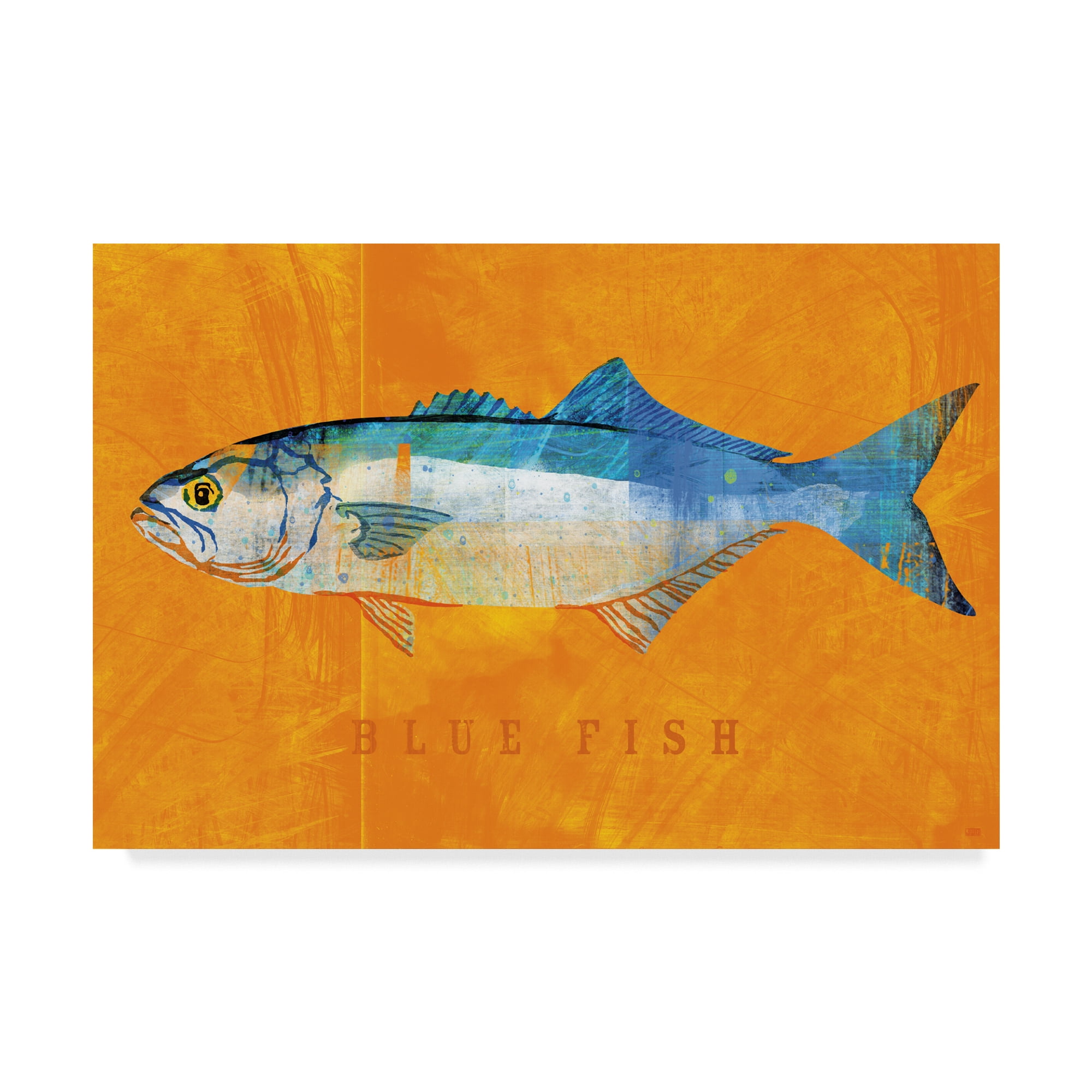 Modern Blue Fish Canvas Art with Orange Background