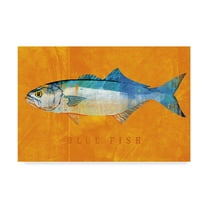 Trademark Fine Art 'Bluefish' Canvas Art by John W. Golden