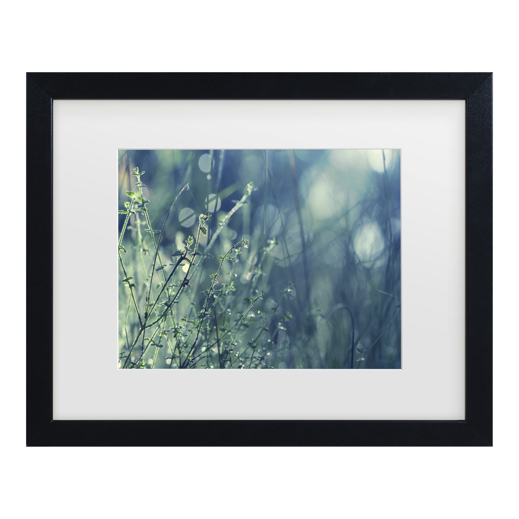 Trademark Fine Art 'Blues in the Morning' Canvas Art by Beata Czyzowska Young