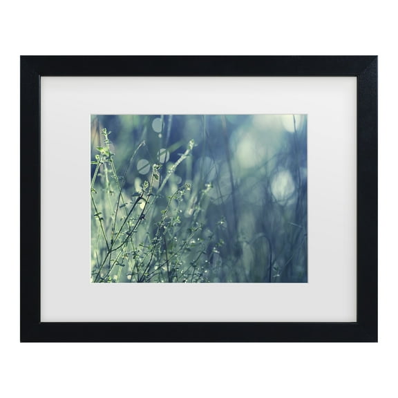 Trademark Fine Art 'Blues in the Morning' Canvas Art by Beata Czyzowska Young