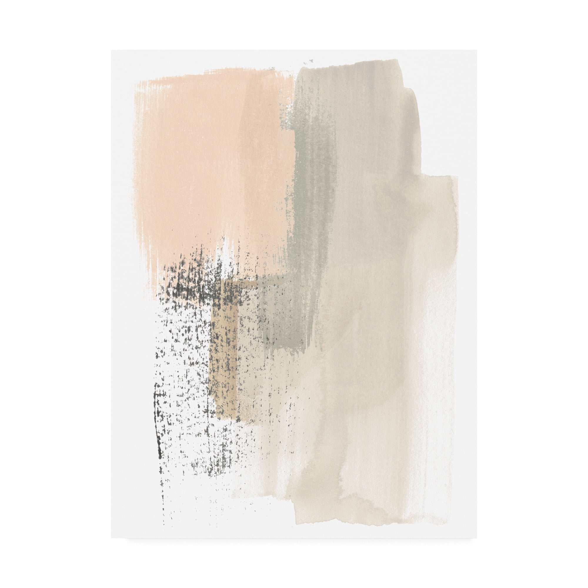 Trademark Fine Art 'Blush Abstract I' Canvas Art by June Erica Vess