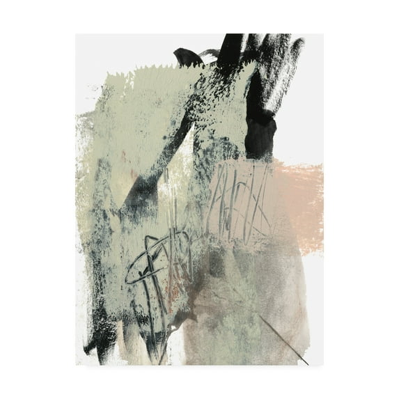 Trademark Fine Art 'Blush And Black II' Canvas Art by Jennifer Goldberger