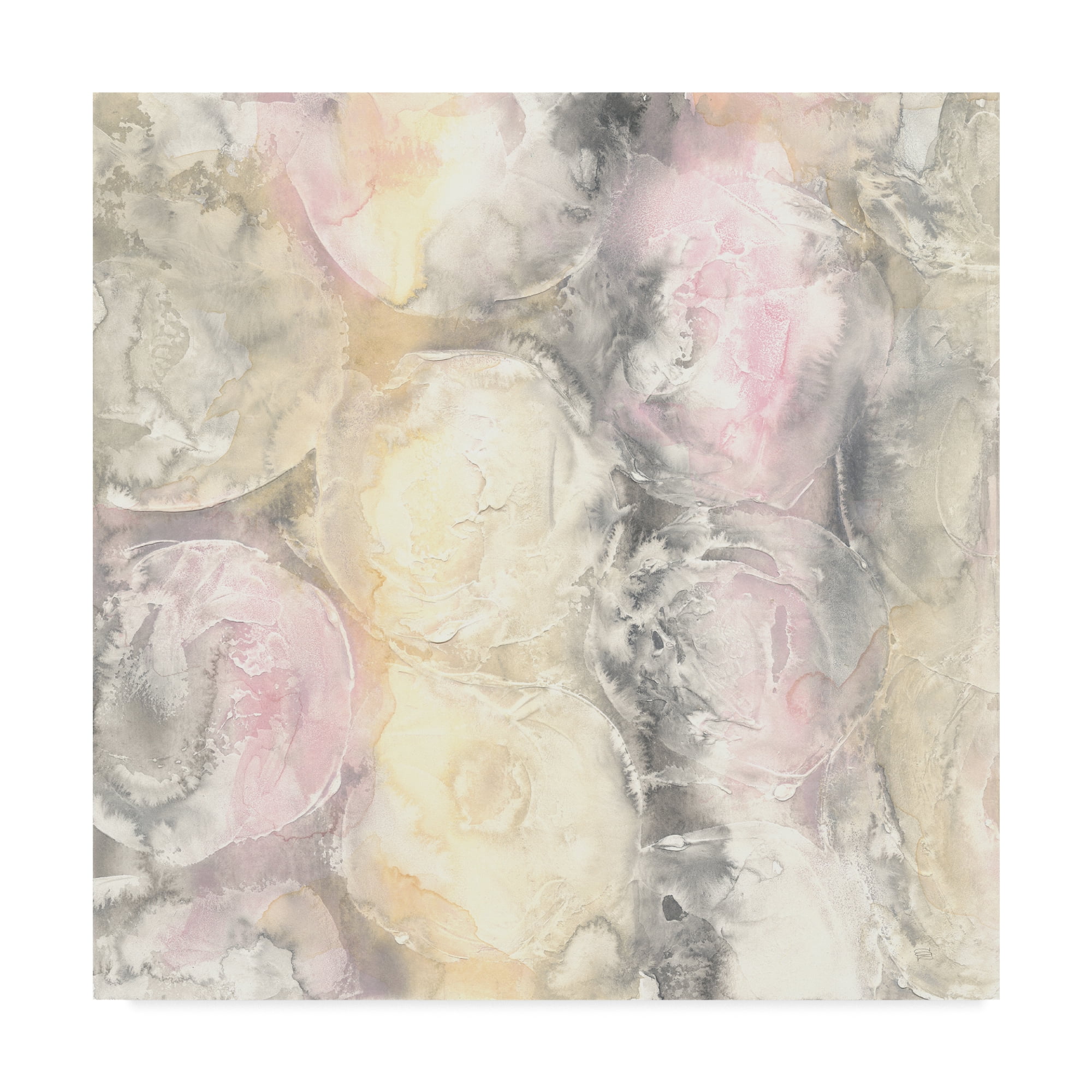 Trademark Fine Art 'Blush Circles I' Canvas Art by Chris Paschke