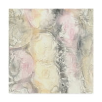 Trademark Fine Art 'Blush Circles I' Canvas Art by Chris Paschke