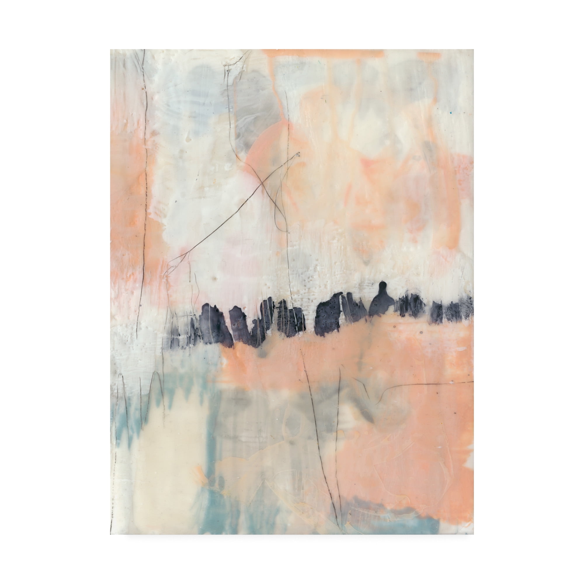 Trademark Fine Art 'Blush & Navy II' Canvas Art by Jennifer Goldberger