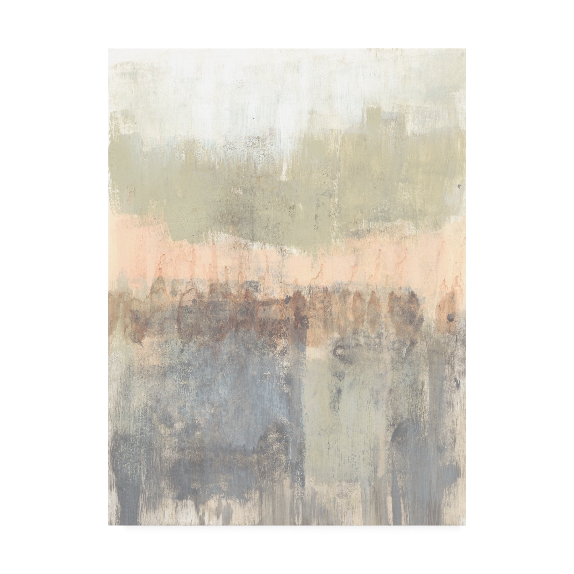 Trademark Fine Art 'Blush Neutrals I' Canvas Art by Jennifer Goldberger