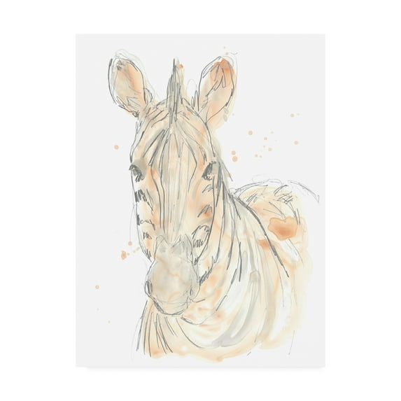 Trademark Fine Art 'Blush Savannah IV' Canvas Art by June Erica Vess