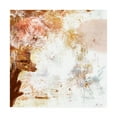 thumbnail image 1 of Trademark Fine Art 'Blush & Umber I' Canvas Art by Victoria Borges, 1 of 3