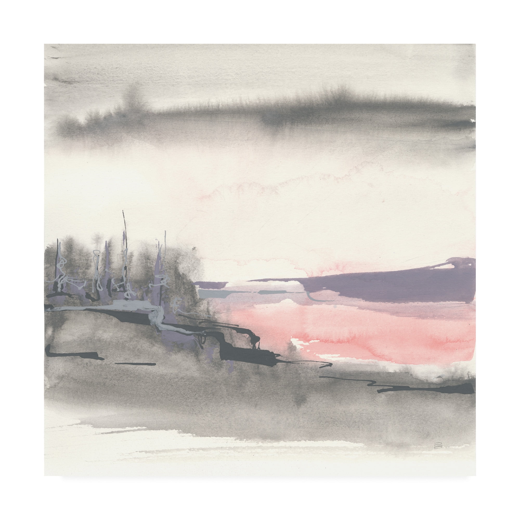 Trademark Fine Art 'Blush Valley I' Canvas Art by Chris Paschke