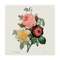 thumbnail image 1 of Trademark Fine Art 'Blushing Bouquet II' Canvas Art by Pierre Redoute, 1 of 4