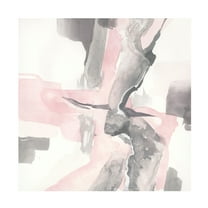 Trademark Fine Art Chris Paschke Blushing Grey I Canvas Wall Art - 14x14