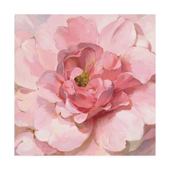 Trademark Fine Art 'Blushing Peony' Canvas Art by Danhui Nai