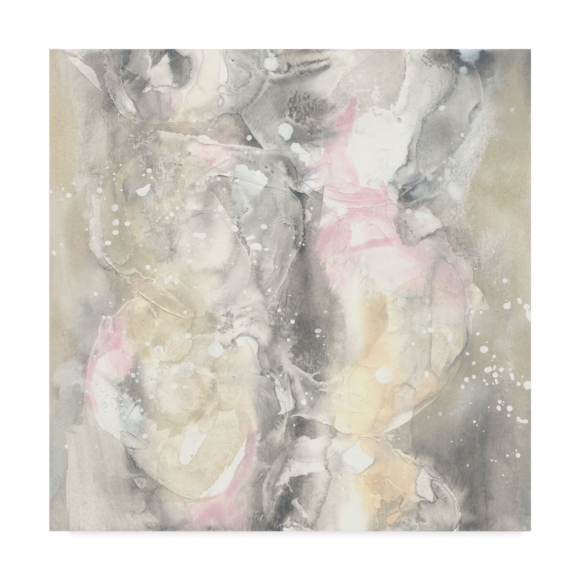 Trademark Fine Art 'Blushing Snowflakes II' Canvas Art by Chris Paschke