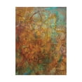thumbnail image 1 of Trademark Fine Art 'Bohemian Abstract' Canvas Art by Danhui Nai, 1 of 3