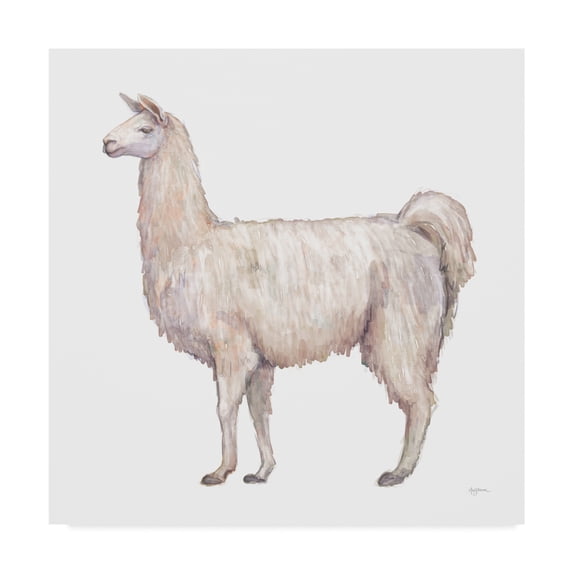 Trademark Fine Art 'Bohemian Cactus Llama' Canvas Art by Mary Urban