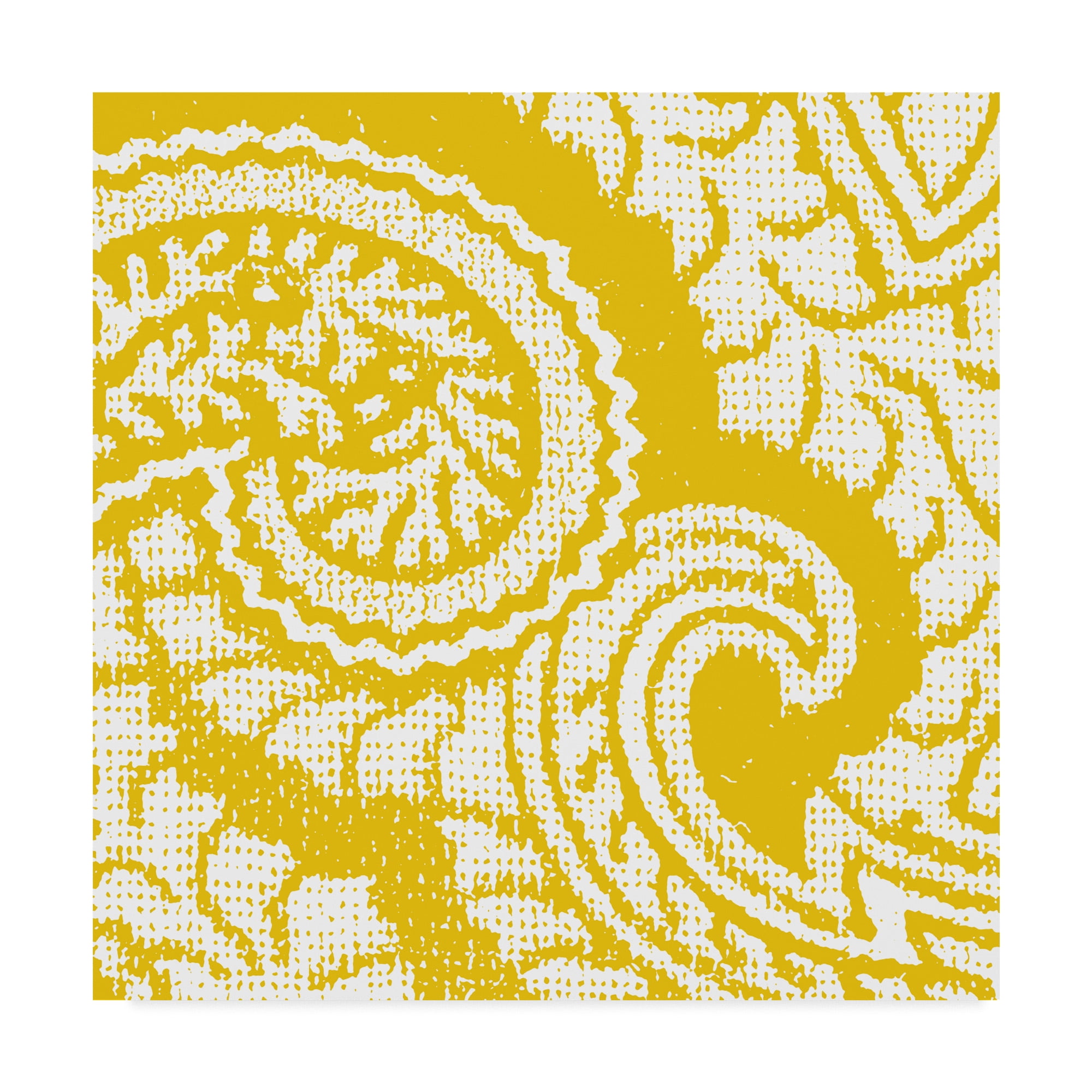 Trademark Fine Art 'Boho Bright IV' Canvas Art by Wild Apple Portfolio