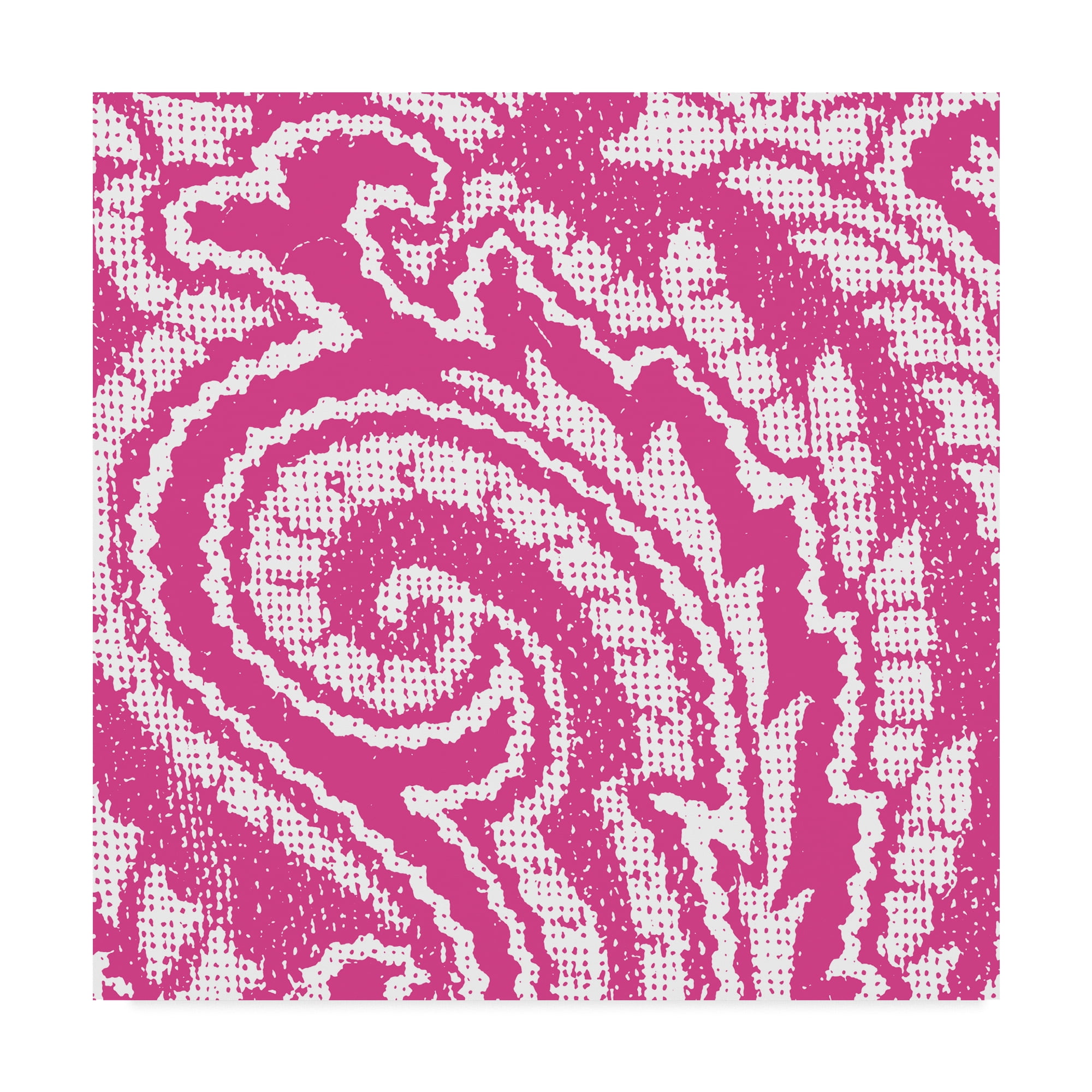 Trademark Fine Art 'Boho Bright VI' Canvas Art by Wild Apple Portfolio