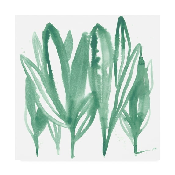 Trademark Fine Art 'Boho Tropicals IV' Canvas Art by June Erica Vess