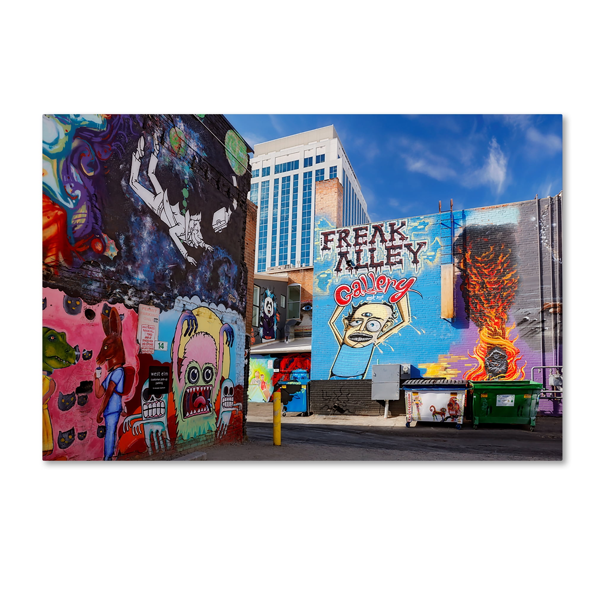 Trademark Fine Art 'Boise Freak Alley' Canvas Art by Mike Jones Photo