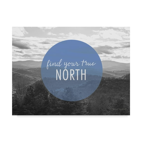 Trademark Fine Art 'Bold Adventures VI v2' Canvas Art by Laura Marshall