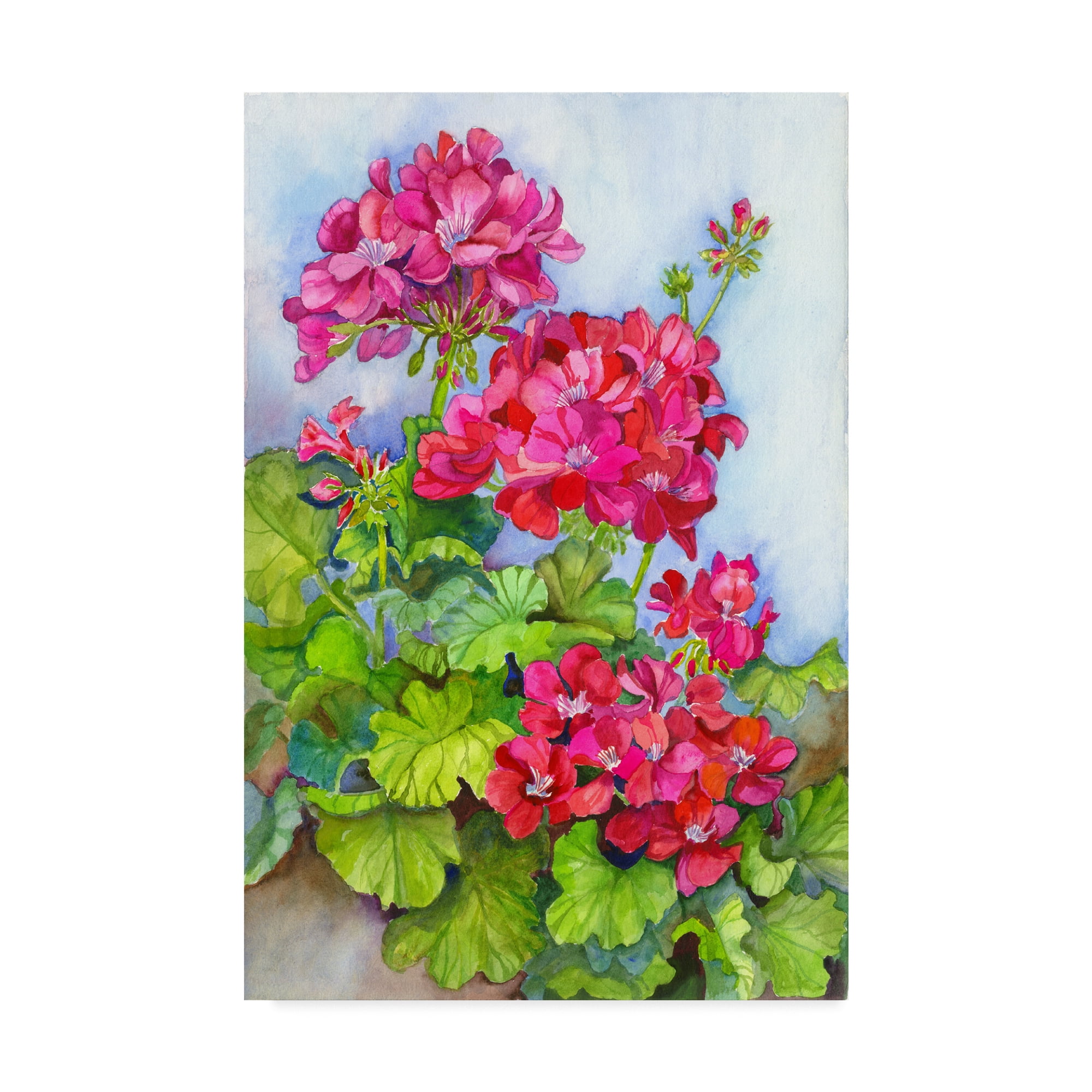 Trademark Fine Art 'Bold Blue Sky Bright Geraniums' Canvas Art by Joanne Porter