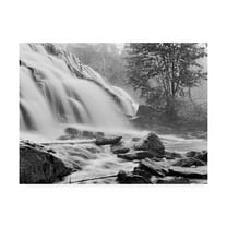 Trademark Fine Art 'Bond Falls And Rocks' Canvas Art by Monte Nagler