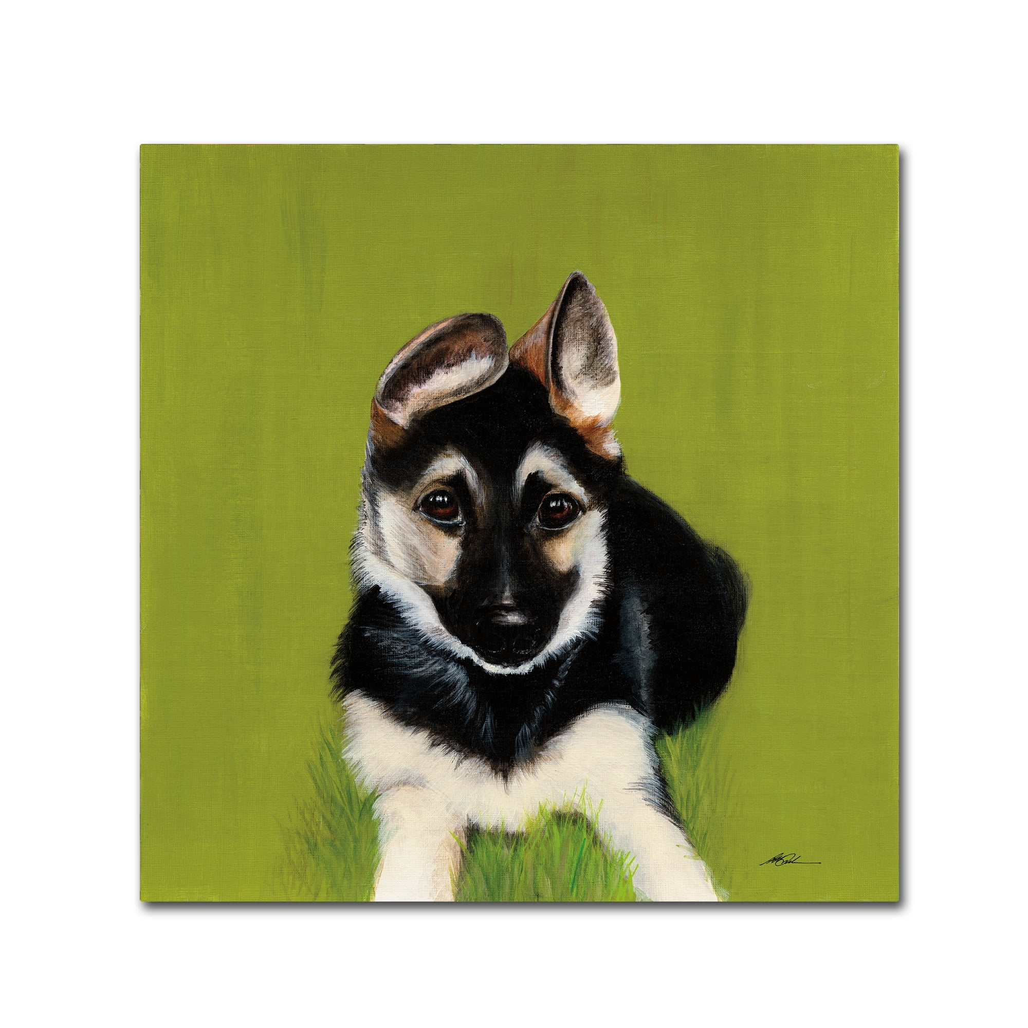 Trademark Fine Art 'Bonelli' Canvas Art by Patsy Ducklow