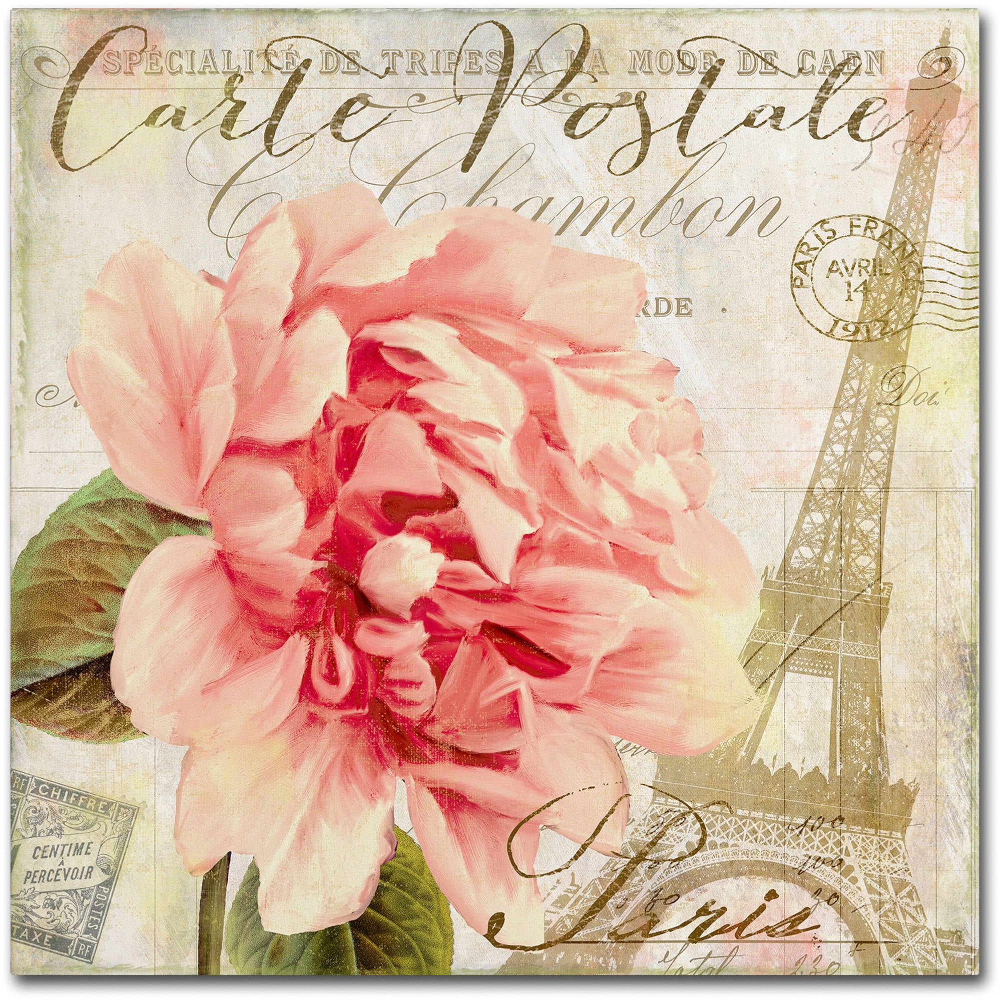 Trademark Fine Art "Bonjour One" Canvas Art by Color Bakery
