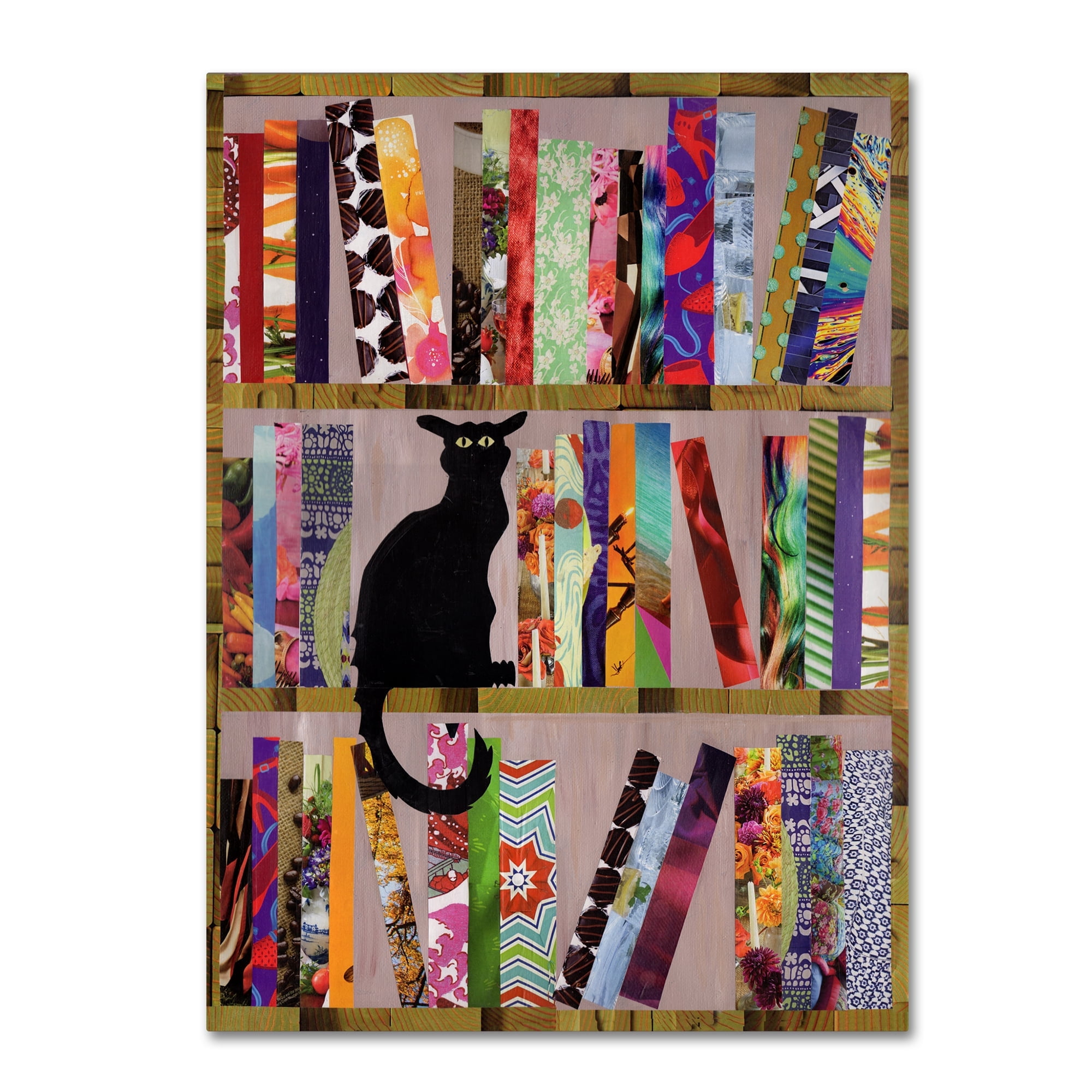 Colorful Modern Canvas Art with Black Cat on Bookshelf