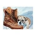 thumbnail image 1 of Trademark Fine Art 'Boots Bulldog' Canvas Art by Patrick Sullivan, 1 of 3