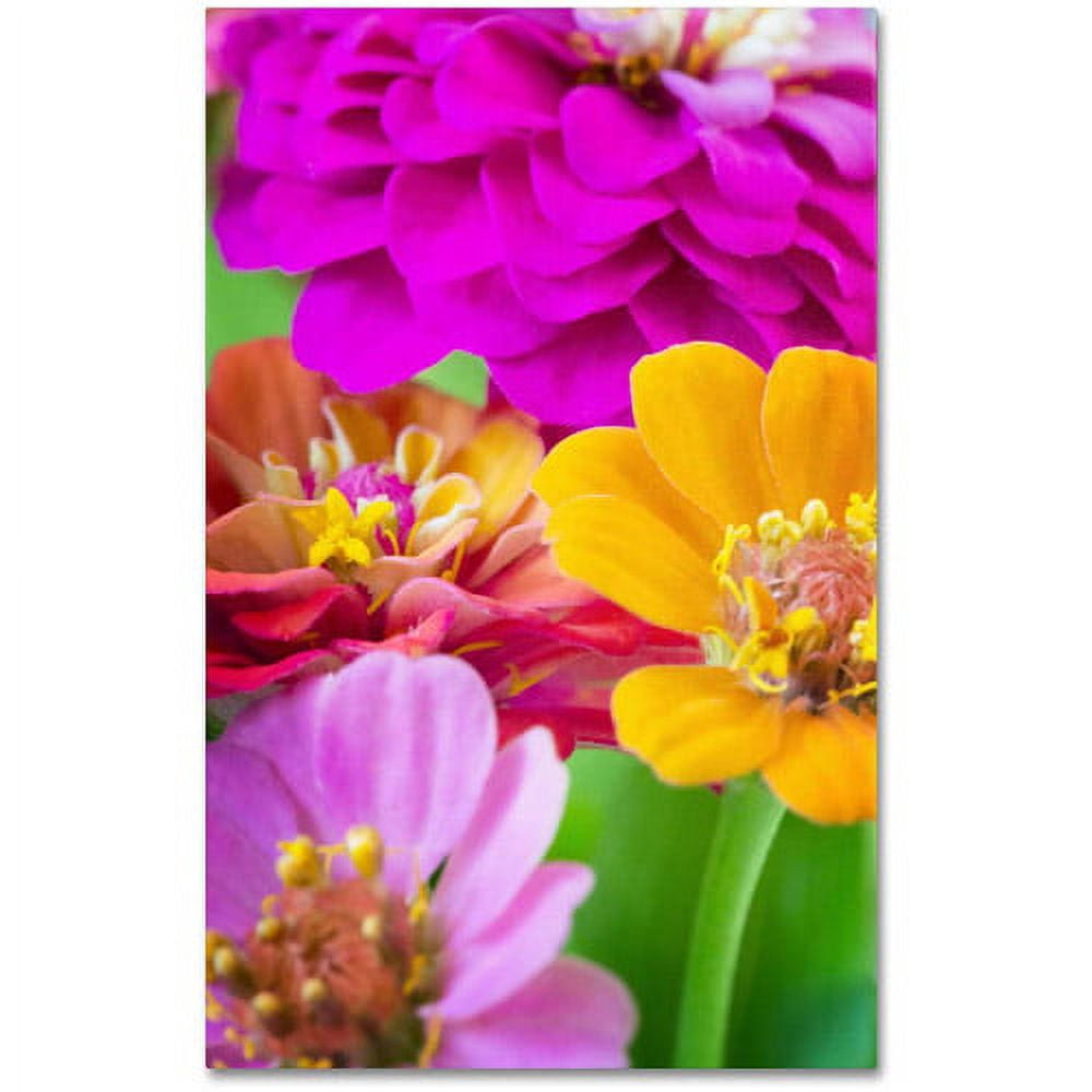Trademark Fine Art "Boquet of Inias" Canvas Art by Philippe Sainte-Laudy