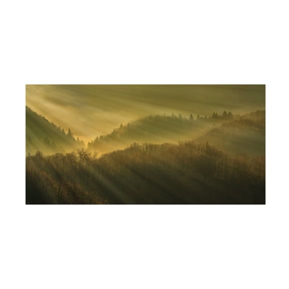 Trademark Fine Art Bor Rays Of Morning Canvas Wall Art